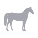 Paardensportcarri�re